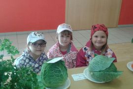 Výstava ovoce a zeleniny v Žabčicích 23. 9. 2019