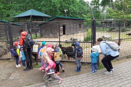 ZOO Hodonín 1