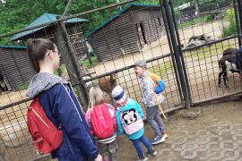 ZOO Hodonín 1