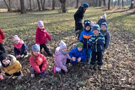 První poslové jara - sněženky na loukách