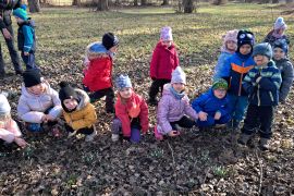 První poslové jara - sněženky na loukách