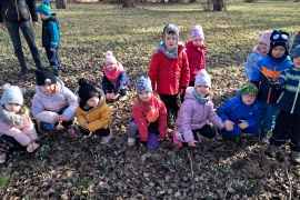 První poslové jara - sněženky na loukách