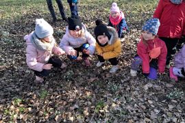 První poslové jara - sněženky na loukách