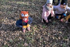 První poslové jara - sněženky na loukách