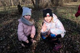 První poslové jara - sněženky na loukách