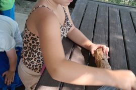 Výlet do ZOO Hodonín - MŠ