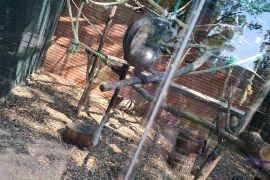 Výlet do ZOO Hodonín - MŠ