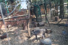 Výlet do ZOO Hodonín - MŠ