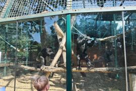Výlet do ZOO Hodonín - MŠ
