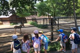 Výlet do ZOO Hodonín - MŠ