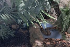 Výlet do ZOO Hodonín - MŠ