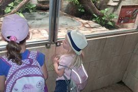 Výlet do ZOO Hodonín - MŠ