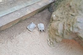 Výlet do ZOO Hodonín - MŠ