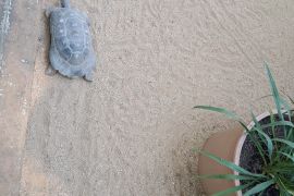 Výlet do ZOO Hodonín - MŠ