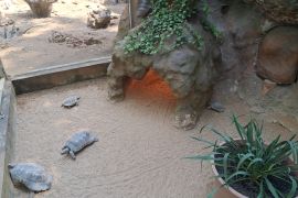 Výlet do ZOO Hodonín - MŠ