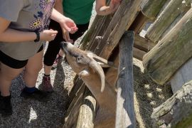 Papouščí ZOO Bošovice